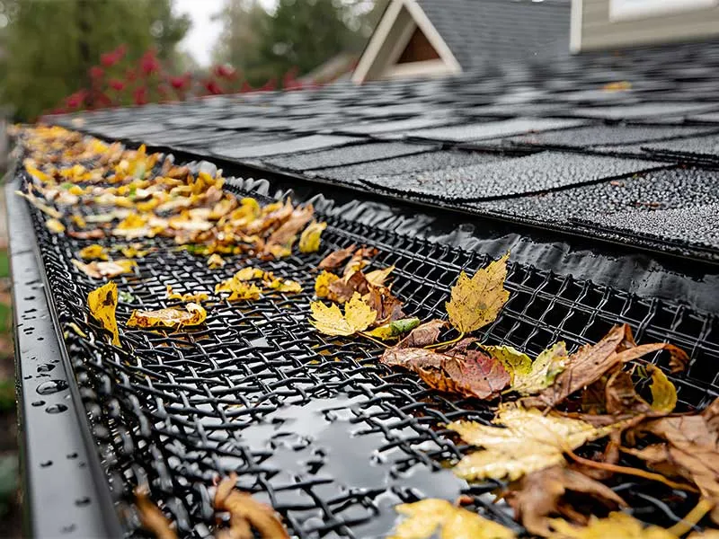 Gutter guard mesh keeping autumn leaves out of a roof gutter