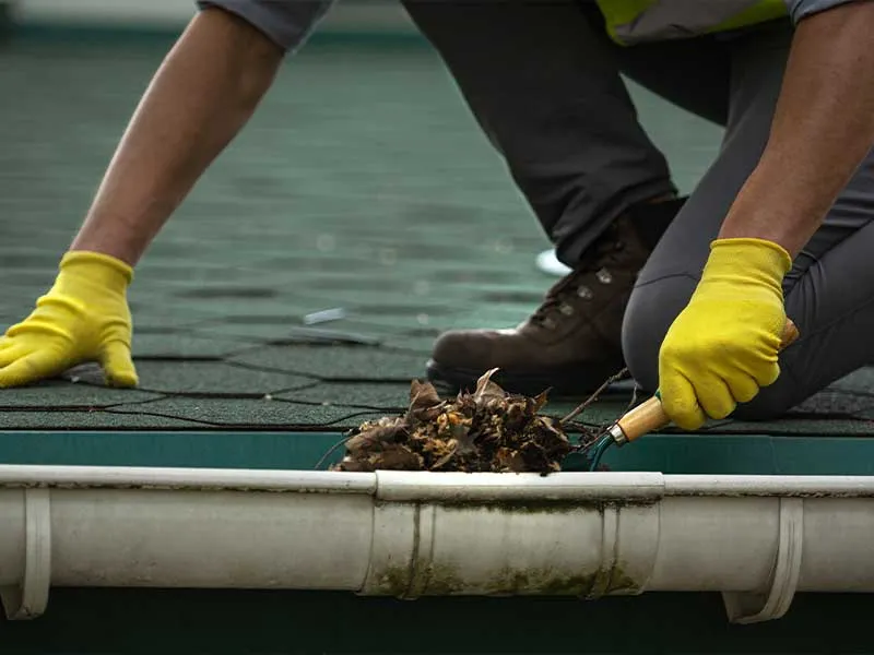 Technician cleaning debris from a clogged roof gutter