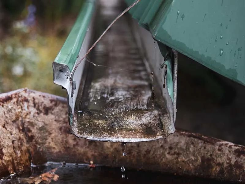 Rainwater dripping from a damaged gutter after a storm